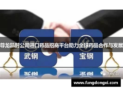 尊龙凯时公司进口药品招商平台助力全球药品合作与发展