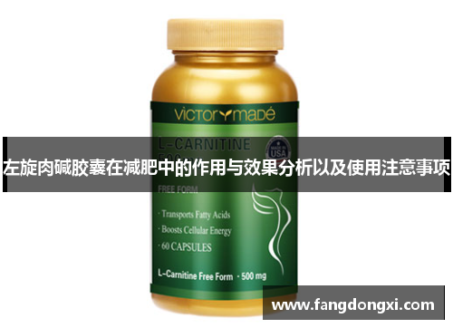 左旋肉碱胶囊在减肥中的作用与效果分析以及使用注意事项