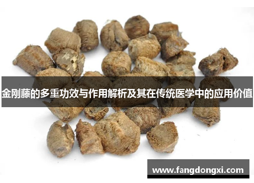 金刚藤的多重功效与作用解析及其在传统医学中的应用价值